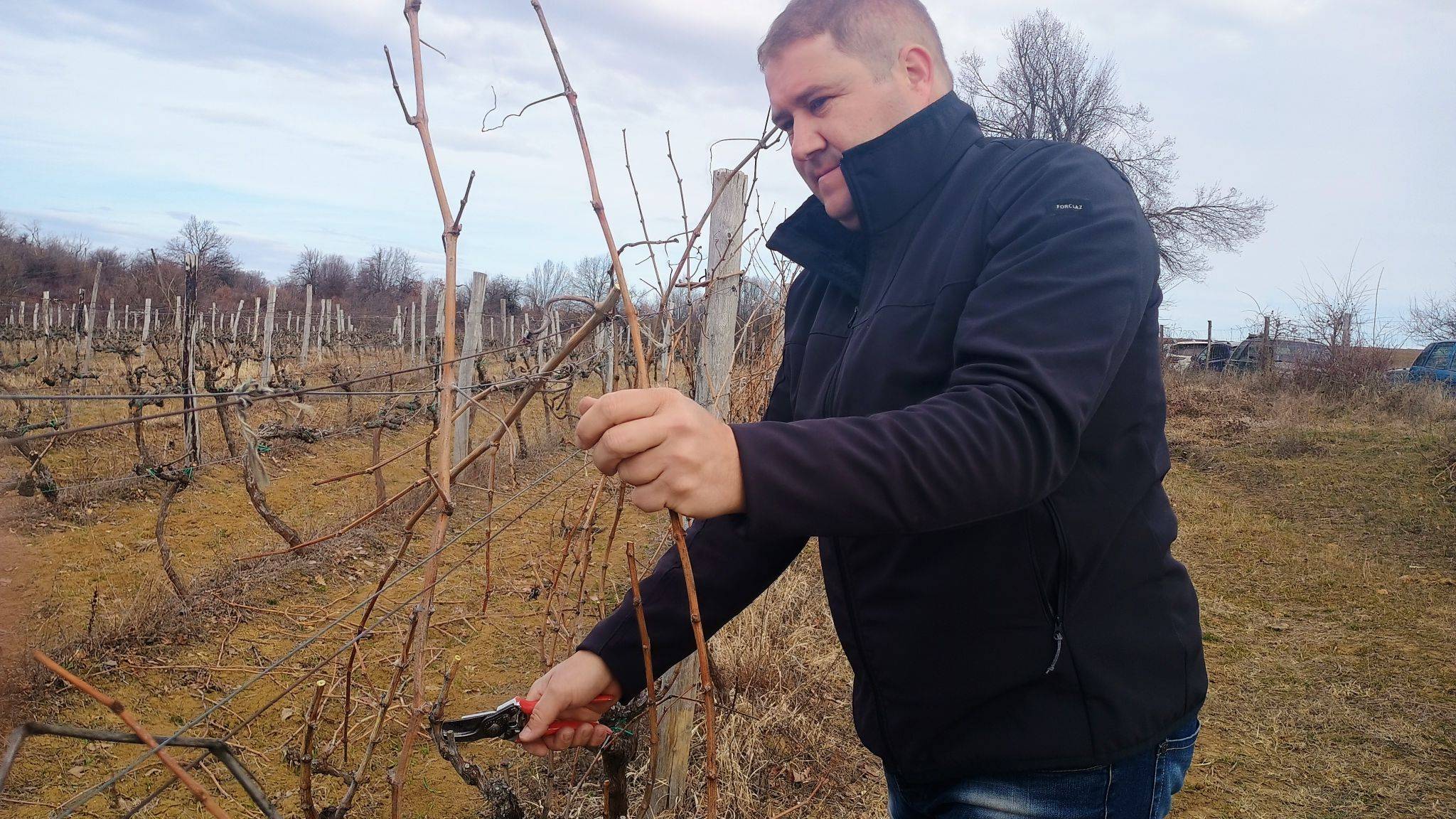  В Дома на виното в Северозападна България - село Типченица, честваха Трифон Зарезан 